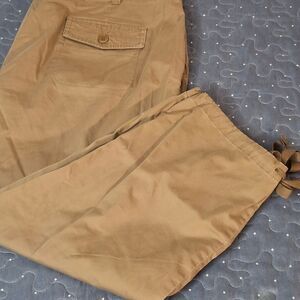 Talbots Signature Women's Tan Pants size 14 Petite